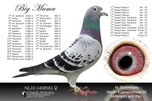 07-NL10-1408561-V-met-oog
